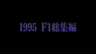 1995 F1 総集編②(ハンガリーGP～最終戦)