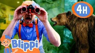 Exploring Nature at MK Nature Center | BLIPPI | Kids TV Shows | Cartoons For Kids | Fun Anime