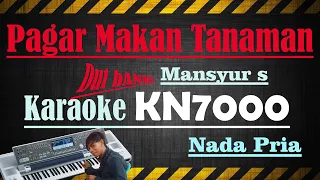 PAGAR MAKAN TANAMAN - MANSYUR S  [[ KARAOKE KN7000 ]] NADA PRIA