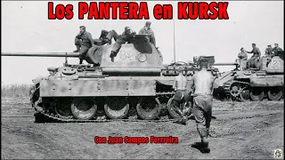 Los "PANTERA" en la Batalla de #KURSK! (1/2) By TRUFAULT