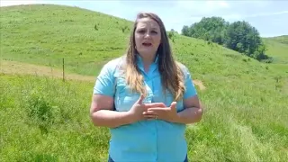 Beef and Dairy Life Cycle Video