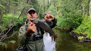 Рыбалка на Хариуса/ Попали на клев! Мухи из рыбьей кожи/ встретили медведя