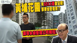 ⚠️管理亂象之二⚠️黃埔花園居民不滿加管理費，控訴帳目不清❗️揭誠哥永續管理公司辣招❗️｜調查報道｜胡‧說樓市