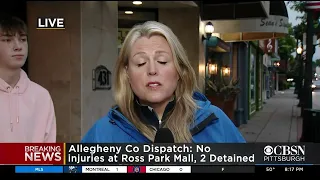 Witnesses Recall Scene At Ross Park Mall