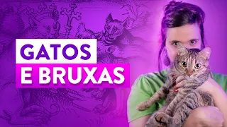 Bruxas e Gatos: Entenda essa Poderosa Ligação