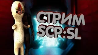 стрим SCP Secret Laboratory