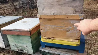Restrângea cuiburilor la albine si administrarea de sirop cu zahar.