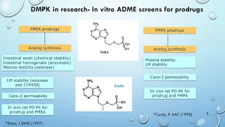 Role of DMPK in Drug Discovery and Development