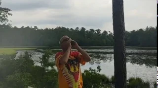 Tarzan Yell - World's Best Ever!