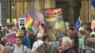 Brexit: Protest outside Parliament ahead of Brexit showdown | AFP