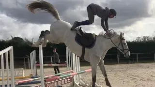 Horse Falls & Fails (23)