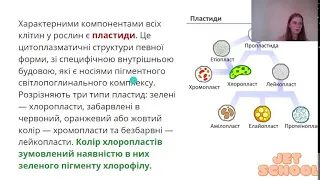 Біологія. Будова клітини та органел.