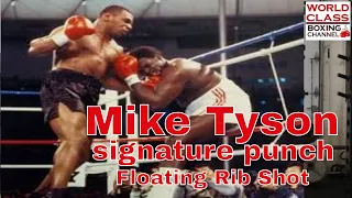 Boxing Video Series | Vital Targets | Punch To The Floating Rib