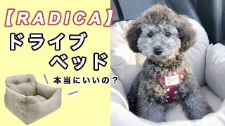 【RADICA】楽天で話題のドライブベッドを購入！愛犬と正直レビューしてみた