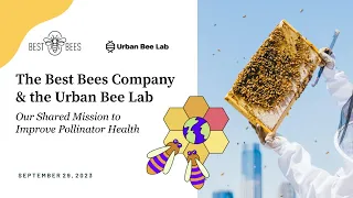 The Best Bees Company & The Urban Bee Lab: Our Shared Mission to Improve Pollinator Health