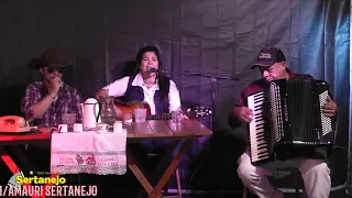 Pedacinhos - Trio Pancadão Sertanejo