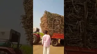 Mahindra Arjun Novo 605 DI Tractor heavy loaded sugarcane Trolley ट्रॉली पलटी