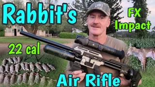 Rabbit & Fox Shoot, Air Rifle, FX Impact .22