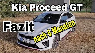 Kia Proceed GT erstes Fazit nach 6 Monaten