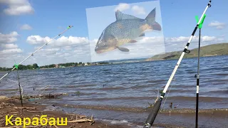 Карабаш/Обзор рыбалки/ Рыбалка #fishing#рыбалка#fish