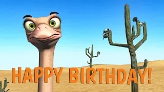 Funny Happy Birthday Song. Ostrich and Dodo sing Happy Birthday