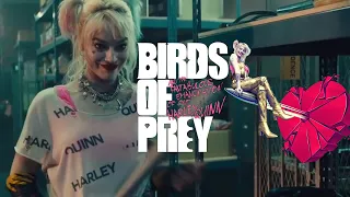 Harley Quinn Warehouse Fight Scene Birds of Prey 2020 HD