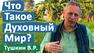 ЧТО ТАКОЕ ДУХОВНЫЙ МИР? • ВАСИЛИЙ ТУШКИН