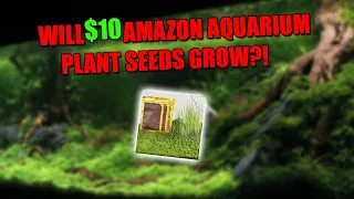 WILL 10$ AQUARIUM SEEDS OFF AMAZON GROW!?