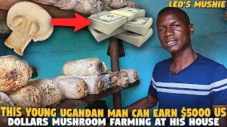 This Young Ugandan Man  Can Earn $5000 US Dollars Mushroom Farming At His House (Leo's Mushies)
