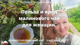 Польза и вред  малинового чая для женского здоровья