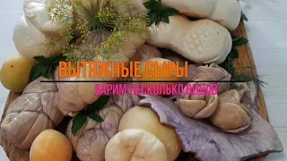 Как приготовить  Домашний сыр /Скаморца, Моцарелла, Буррино (Burrino), Косичка в вине /Вытяжные сыры