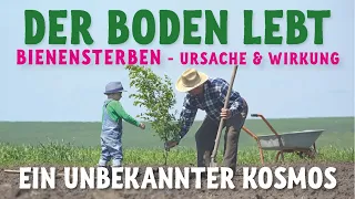 Der Boden lebt - ein unbekannter Kosmos