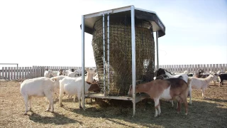 Hayboss Livestock Bale Feeder