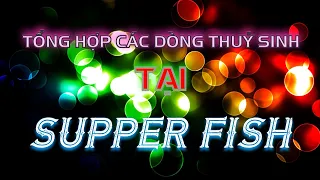 TỔNG HỢP CÁC DÒNG THUỶ SINH BÊN TIỆM #SUPPERFISH