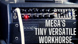 Mesa Boogie Mark V:25 - A Hugely Versatile Little Amp [FULL REVIEW OF ALL CHANNELS & MODES]