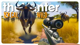 VURHONGA SHOWDOWN: Epic 60-Minute Species Sprint with @Gruntly ! | theHunter: Call of the Wild