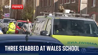 Three people hurt and one arrested during 'major incident' at school in Wales