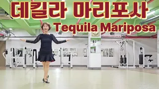 Tequila Mariposa (데킬라 마리포사) linedance l 맘영 라인댄스