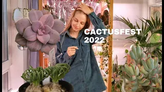 Cactusfest 2022 - Мои впечатления