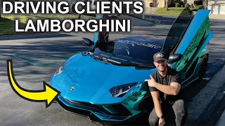 Detail and Review Of A RARE Lamborghini Aventador V12 + Cold Start  | Daves Auto Detail