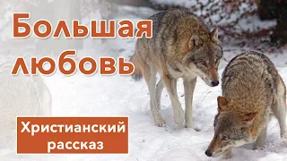 🔶 Большая любовь - ИНТЕРЕСНЫЙ ХРИСТИАНСКИЙ РАССКАЗ | Христианские рассказы