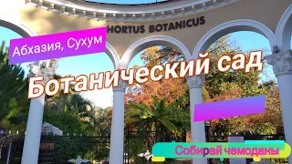 Ботанический сад в городе Сухум