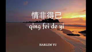 (lirik dan terjemahannya) 情非得已 qing fei de yi - Harlem Yu            (Ost - meteor garden)