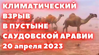 В Саудовской Аравии пустыня превращается в море. Град накрыл верблюдов. Изменение климата в Аравии