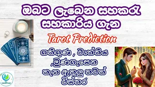 ඔබට ලැබෙන සහකරැ හෝ සහකාරිය ගැන  Tarot Sinhala | The universe portal