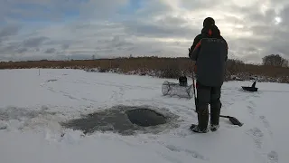 ОПУСТИЛ КАМЕРУ ПОД ЛЁД И БЫЛ УДИВЛЁН,ТАКОГО Я НЕ ВИДЕЛ! ПОСТАВИЛ ВЕРШИ,через сутки ПРОВЕРИМ.