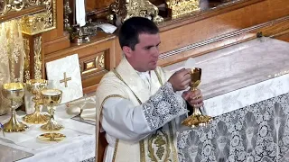 Live Stream - Mass - Feast of the Ascension (2002 Missal)  - Sunday, May 29