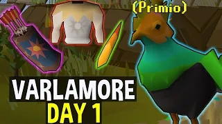 A Day 1 Look Around the New Kingdom of Varlamore! [OSRS]