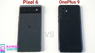 Google Pixel 6 vs OnePlus 9 SpeedTest and Camera Comparison