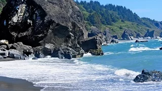 YUROK TRIBE- OG Beach Boys.